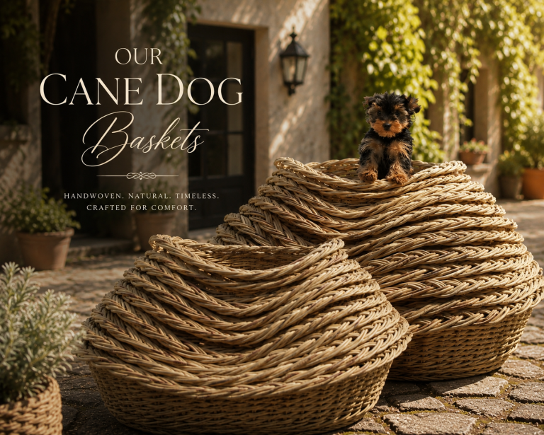 Our Cane Dog Baskets