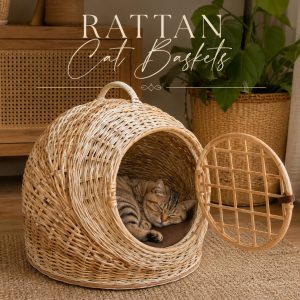 Handcrafted rattan cat basket with a cozy enclosed dome design, featuring a sleeping tabby cat inside a woven cane pet house. Stylish natural wicker pet bed displayed in a warm modern interior with earthy textures and relaxed organic décor.